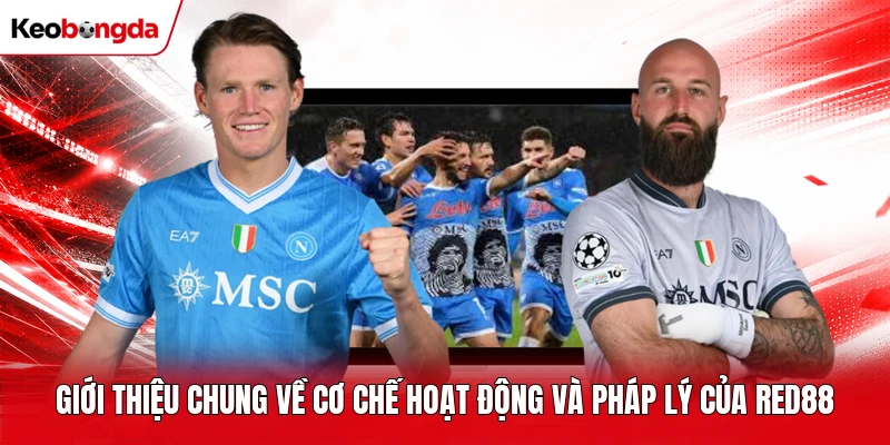 Giới thiệu chung về cơ chế hoạt động và pháp lý của Red88